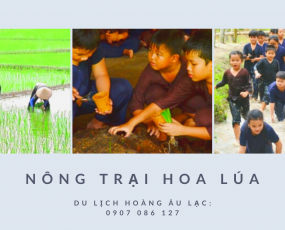 Đưa trẻ khám phá những địa điểm du lịch Hồ Chí Minh nổi tiếng cùng Hoàng Âu Lạc Tourist