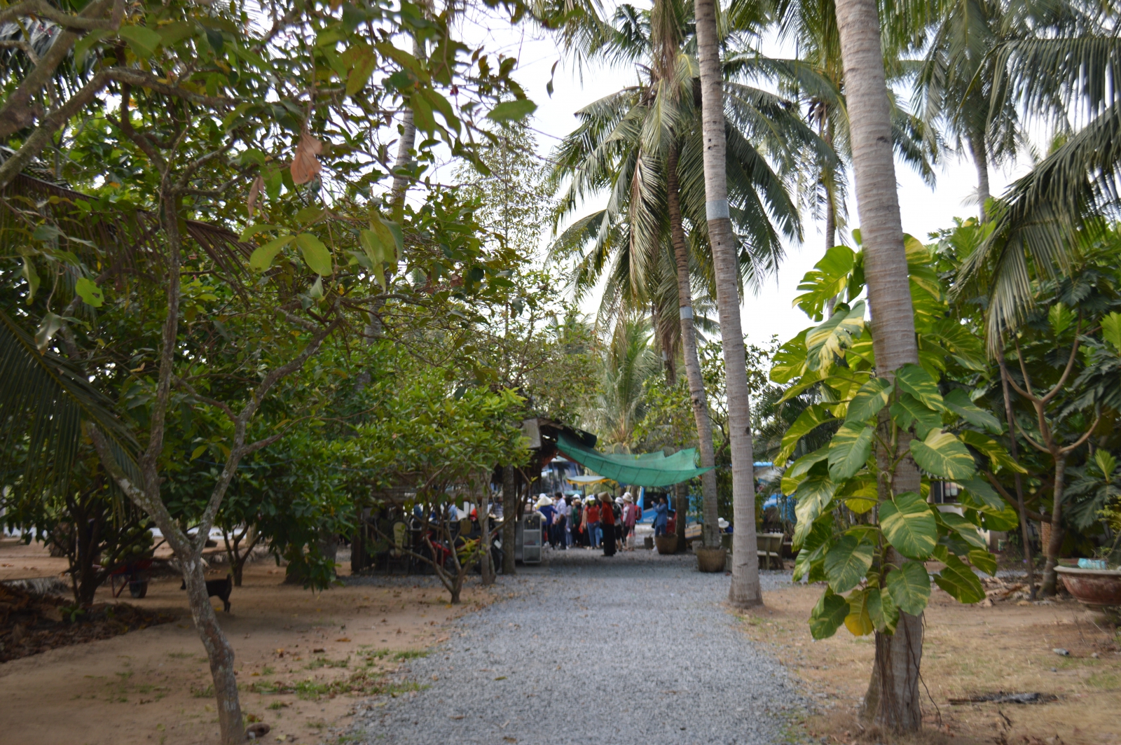 HÀ NỘI